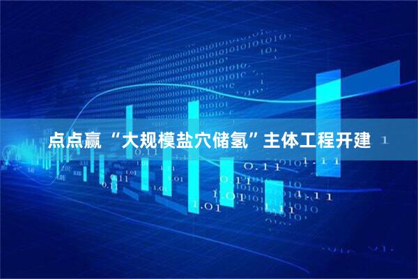 点点赢 “大规模盐穴储氢”主体工程开建