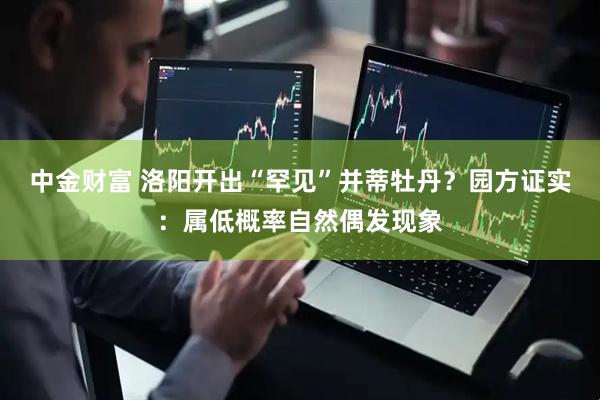 中金财富 洛阳开出“罕见”并蒂牡丹？园方证实：属低概率自然偶发现象